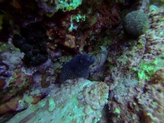 Formation Nitrox Confirmé Perrine