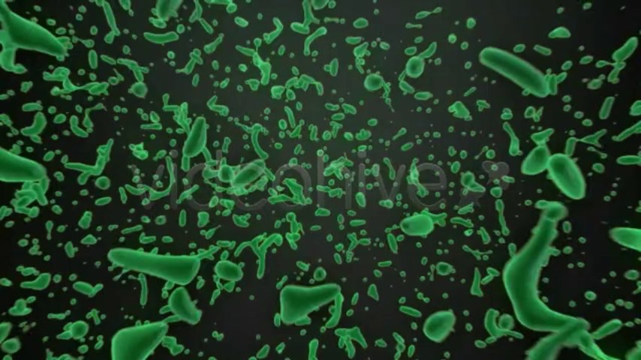 The Liquid Bender - After Effects Template