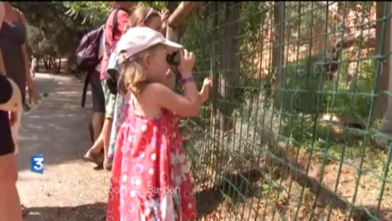 Chroniques du Sud 1 Les coulisses du zoo de La...