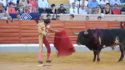 OREJA PARA CURRO DE LA CASA