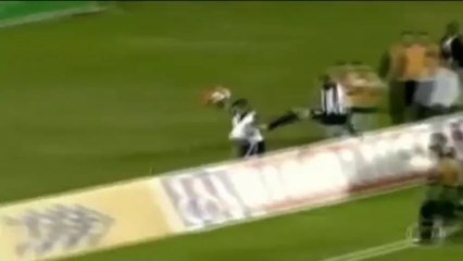 Brésil - Un soigneur joue les gardiens de but !