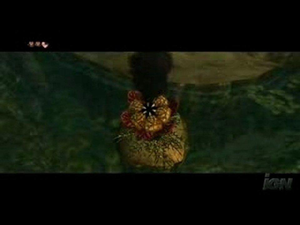 Zelda TP - Clever Boomerang