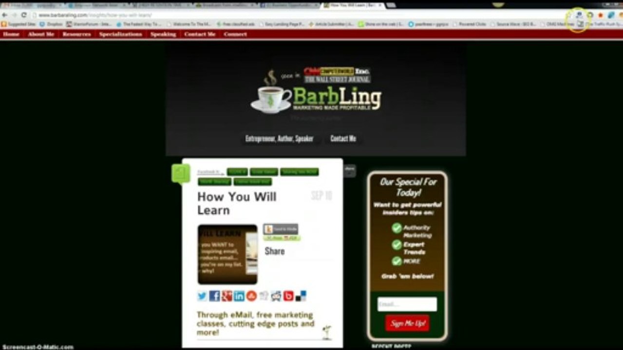 Affiliate Marketing Dummies