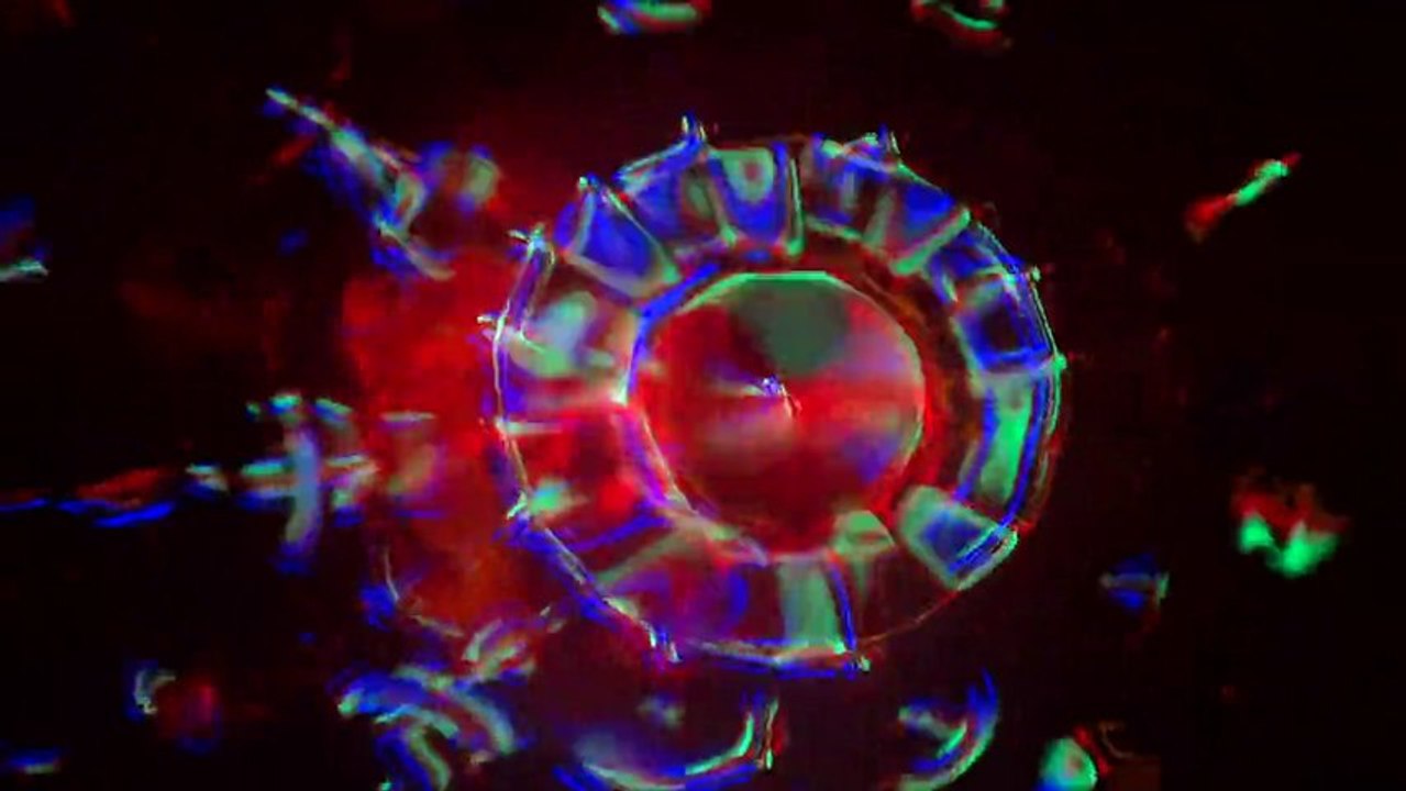 Concentric Radial Rainbow