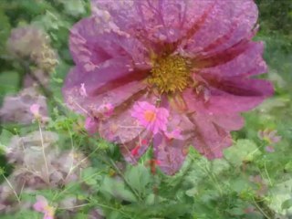 BU SENEDE TATİL BİTTİ 2013