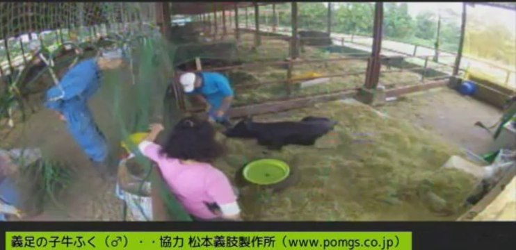 20130907 ふくちゃんの水桶