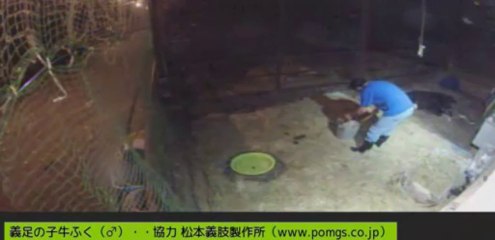 20130907  深夜　ふくちゃん　吉沢さんが一人で移動させる