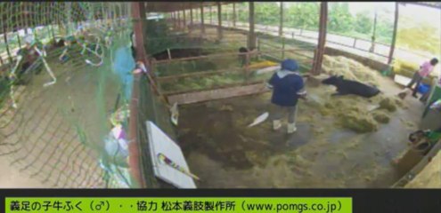 20130907　ようこちゃん、永澤さん、ぎんちゃん、マット外す