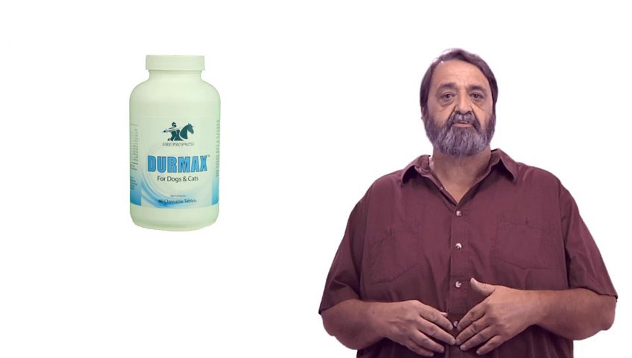 Skin Allegies Treatment for Cats & Dogs use Durmax by SBD Products