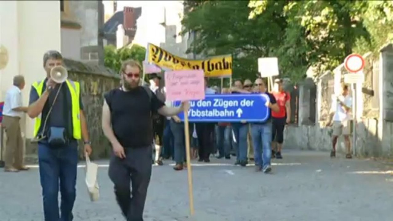 Ein Spaziergang für die Ybbstalbahn 2013