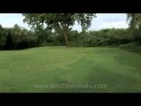 The Delhi Golf Club, one of India's premier golf clubs