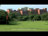 Vibrant reds & greens make the 11th hole at the Delhi Golf Club