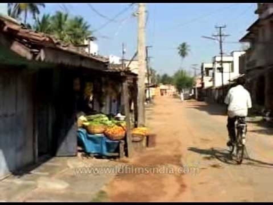 Vegetables and fruits vendor in the street of Karnataka