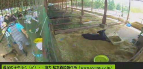 20130910  たくさんのボランティアさん