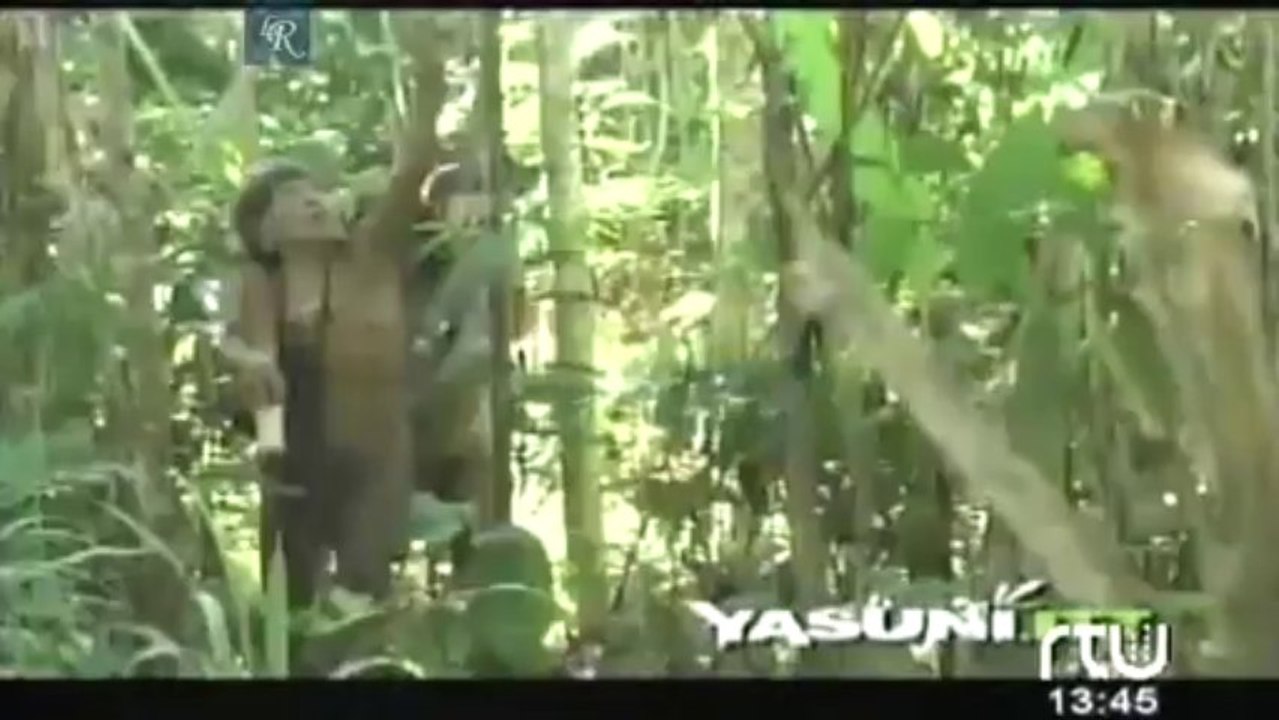 Dialogos en Comisión de Biodiversidad sobre Yasunní, Ecuador
