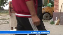 Coada la alimente