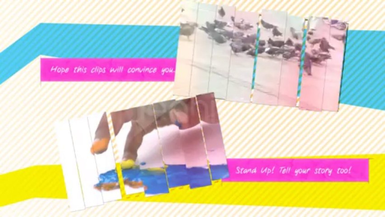 Color Presentation Project - After Effects Template