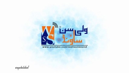 Promo Wali Son Sound Okara