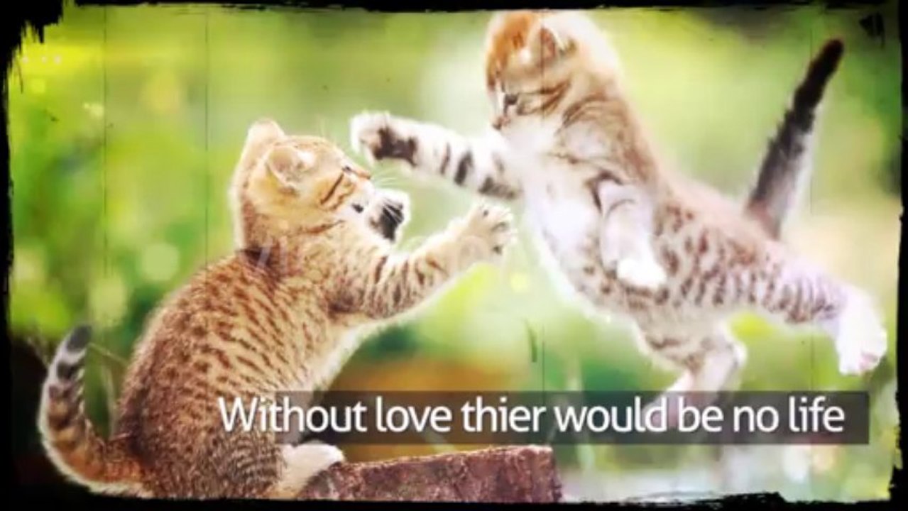 All Over Again - After Effects Template