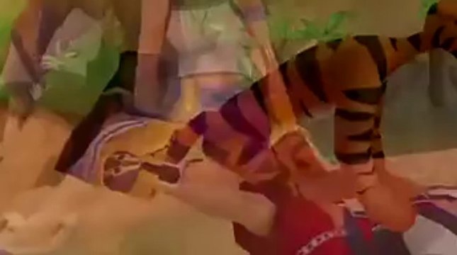 Kingdom Hearts HD 1.5 ReMIX - Sortie du jeu