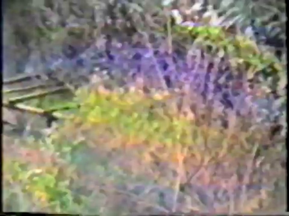 87° CURSO DE COMANDOS (1) 1987