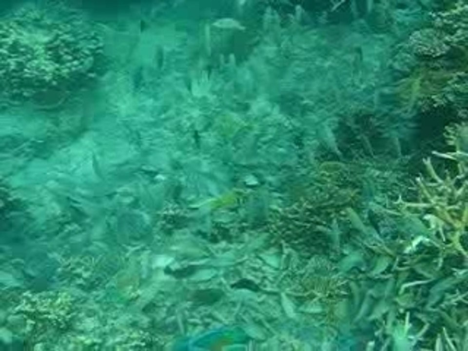 Là, y'a du monde...