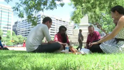 Gastronomia sobre rodas