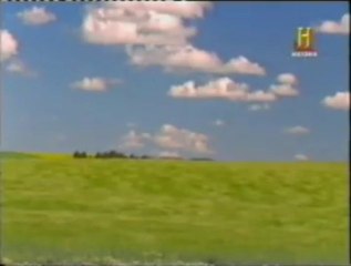 Praderas y bipedestacion: Evolucion de los primates