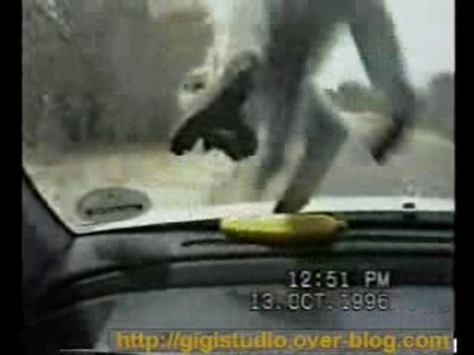 singe banane