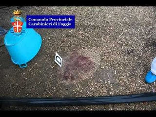 Foggia - Omicidio Balan, arrestato autore. Vagava ancora sporco di sangue (11.09.13)