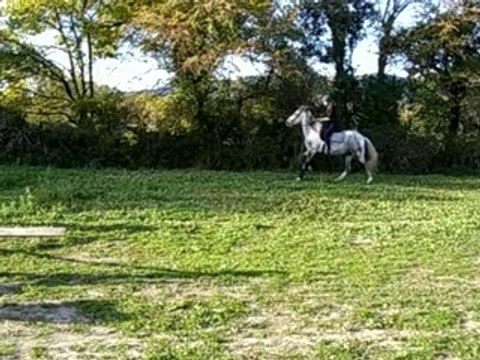 PASO GALOP ET SAUT BIZARRE