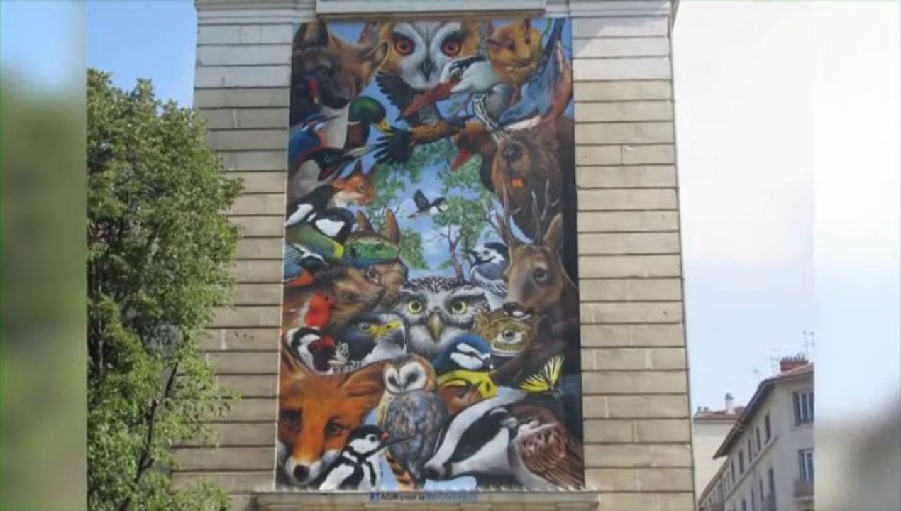 Fresque "Agir pour la Biodiversité", Lyon septembre 2013