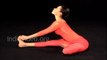 Yoga for Beginners - Janusirshasana Head to Knee forward Bend