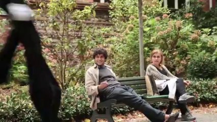 Les Himantopus - échasses pneumatiques