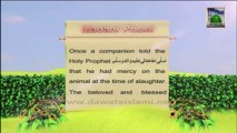 Islamic Information 08 - Mercy on Animal - Qurbani Special English
