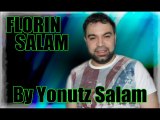 FLORIN SALAM - LA CRISTI DONEA IUNIE 2013 - SISTEM