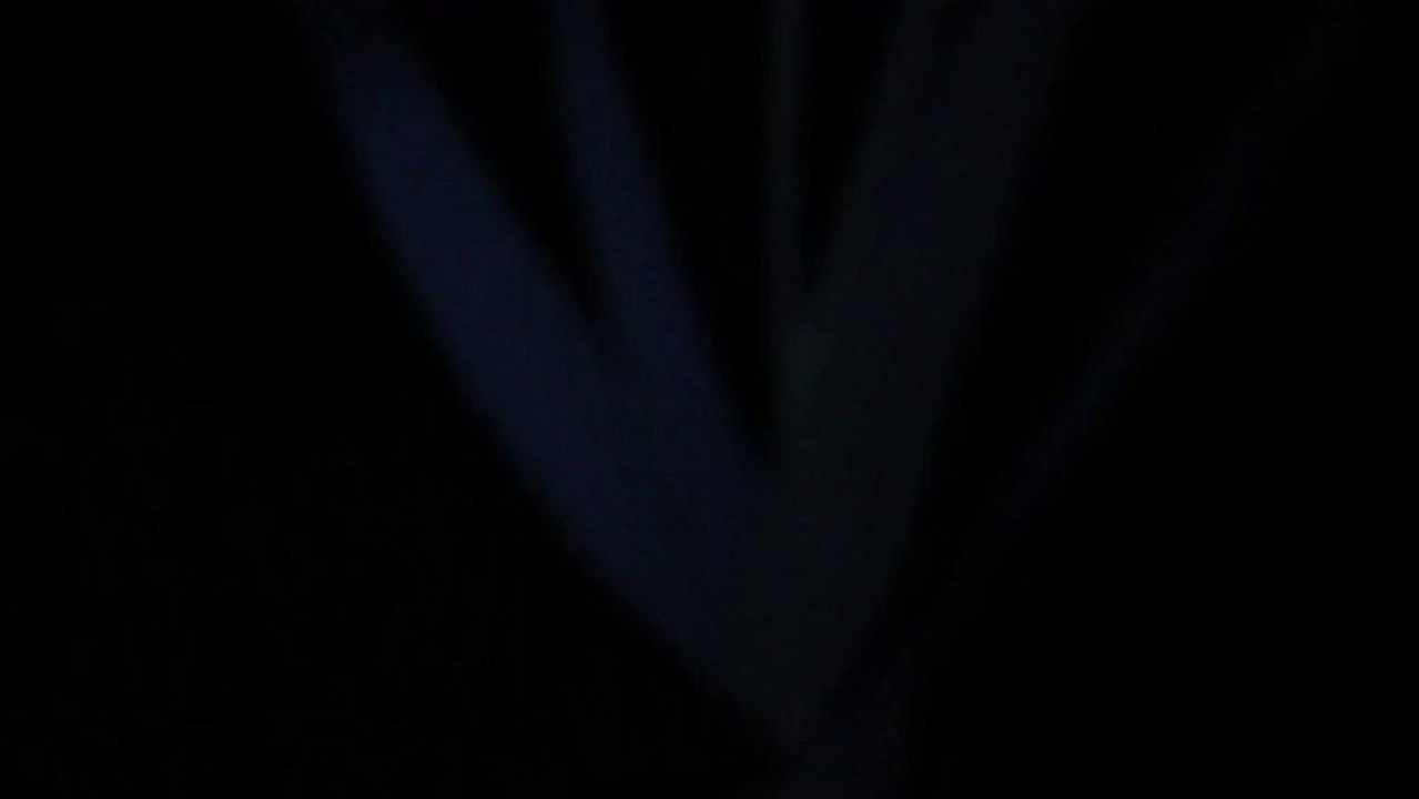 Cris des puffins cendrés - Colonie de Velas - Açores 01aout13