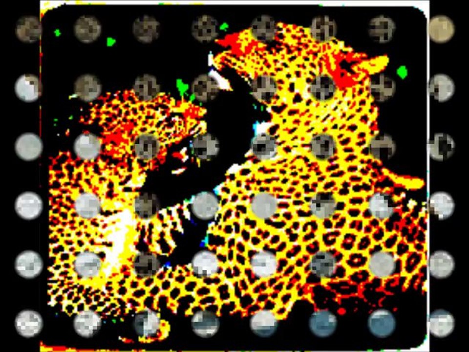 le leopard
