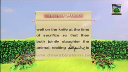 Useful Information 06 - Reciting Bismillah Before Qurbani - English Language