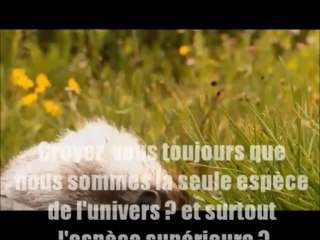 rencontre .alien creatures. france .temoignage. joey ucamoon