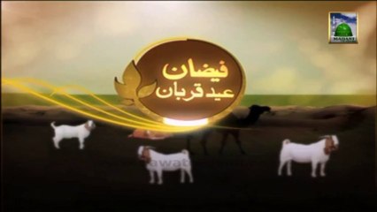 Promo 09 - Faizan e Eid ul Adha  - Animated Video