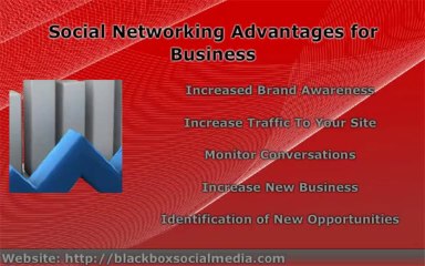 What Is Social Networking In Modern Ara