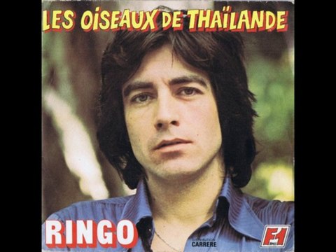 RINGO LES OISEAUX DE THAÏLANDE
