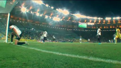 Botafogo keep pressure on league leaders