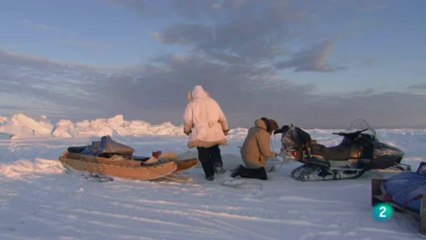 Osos de la última frontera - Árticos errantes