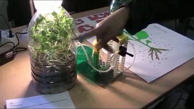 Finale Concours CGénial 2013 Académie d'Aix-MArseille