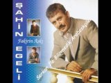 Şahin Egeli - Dost Çukuru