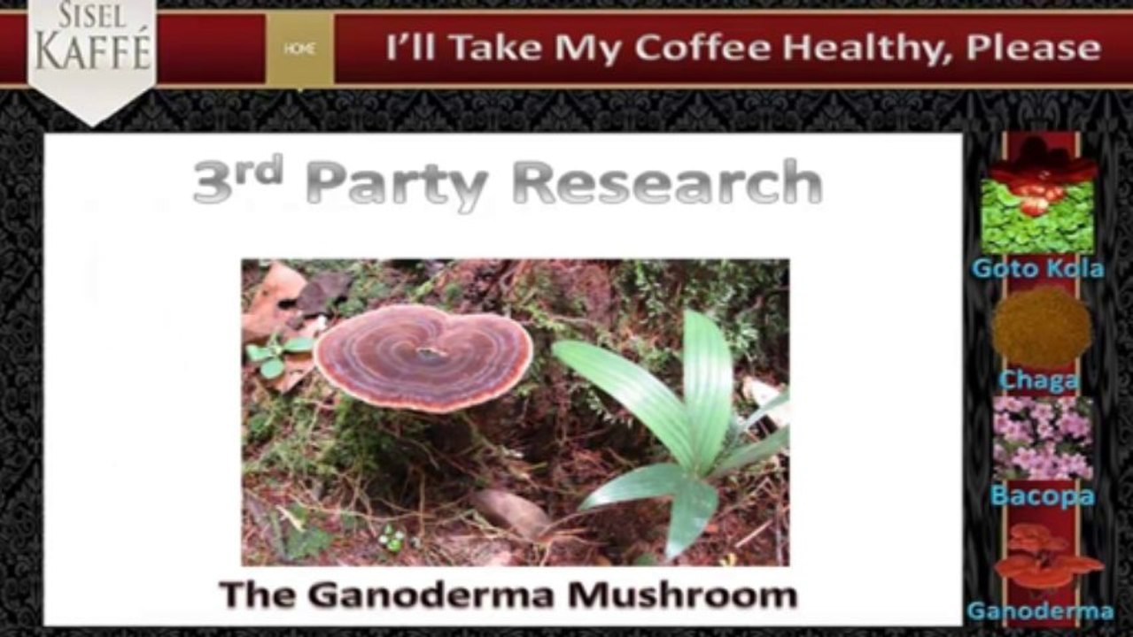 Sisel Kaffe Business Presentation Part 2