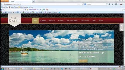 Sisel Kaffe Business Presentation Part 5
