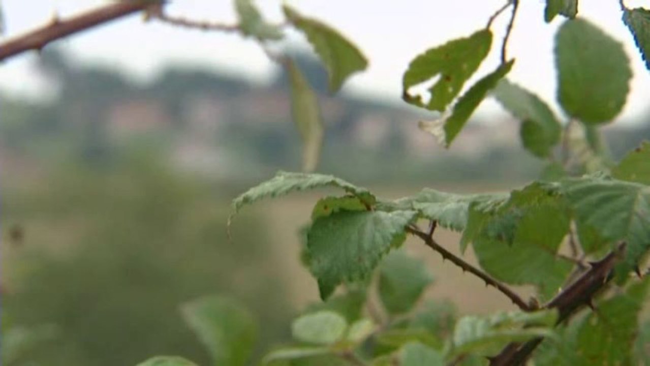 Le projet de Center Parcs en Saône et Loire est-il menacé?
